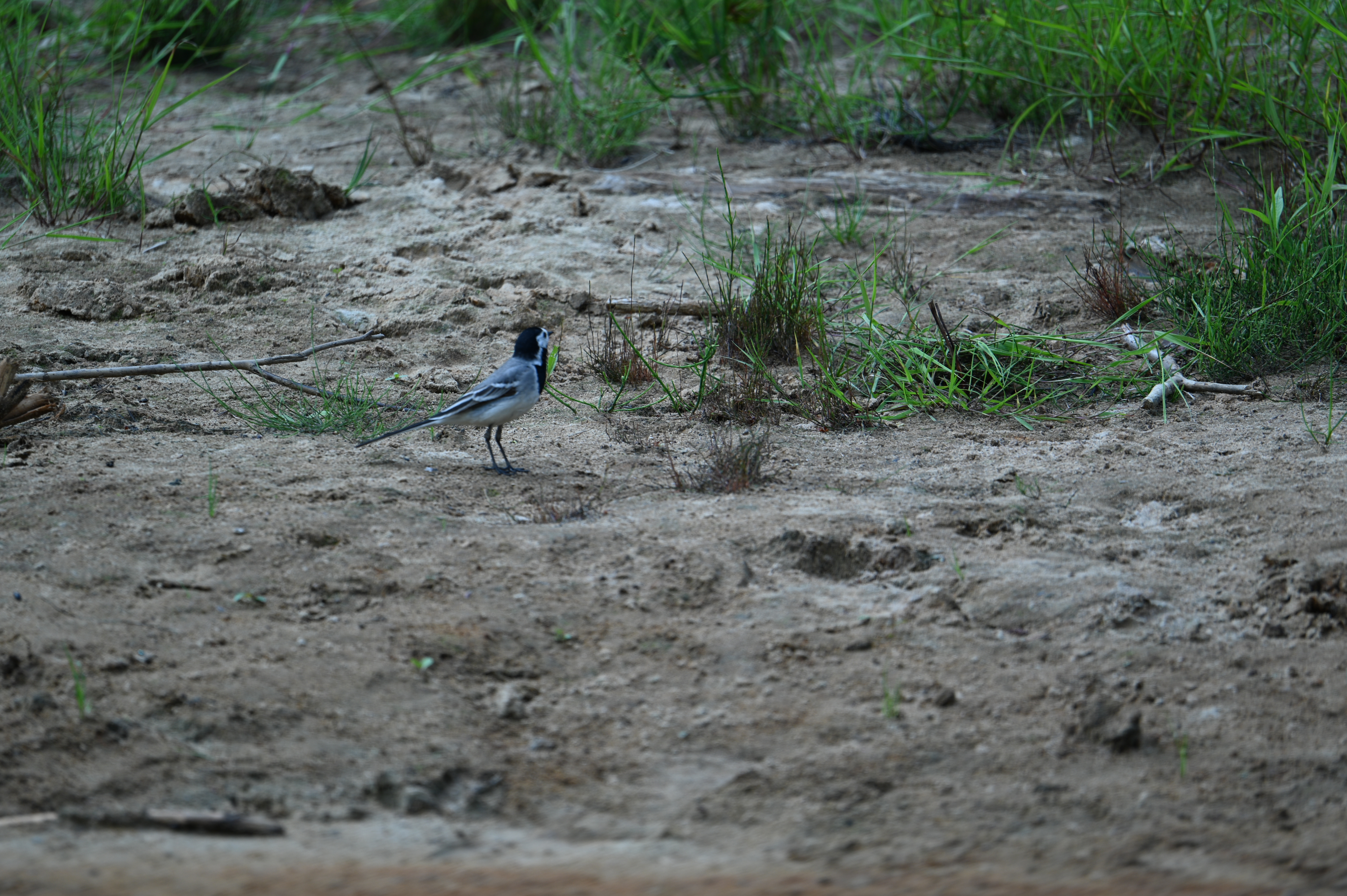 2025/07/09-14 - trip/DSC_0354.JPG